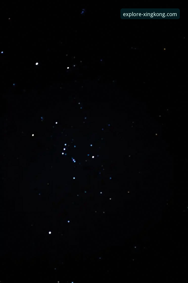 资深用户分享：我的星空官网app下载必备指南与实战心得